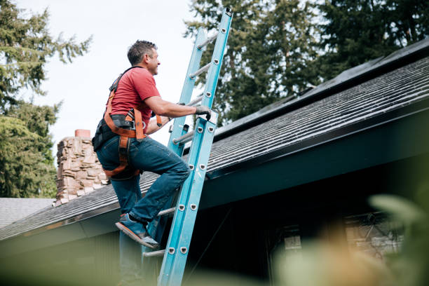 Best Gutter Installation and Repair  in Norwood, PA