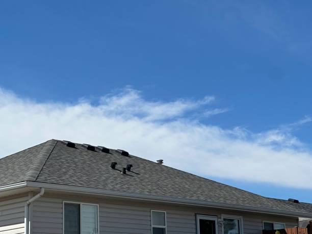 Best Emergency Roof Repair Services  in Norwood, PA